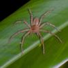 140235 – Photo : D. Martinez – Philippines