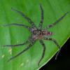140726 – Photo : D. Martinez – Philippines