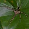 140338 – Photo : D. Martinez – Philippines