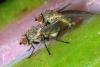 140764 – Photo : Christophe Quintin – France (21)