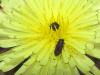 140596 – Photo : Sylvain Fadda – France (13)