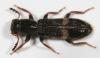 140389 – Photo : Arthropa - Benoit Martha – France (71)