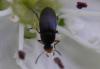140534 – Photo : Guénael Hallart – France (02)