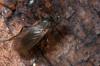 140148 – Photo : Christophe Quintin – France (21)