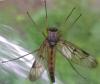 140927 – Photo : Guénael Hallart – France (02)