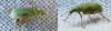 140150 – Photo : Chen – France (60)