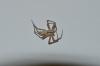 140892 – Photo : Thibault Rafton – France (30)