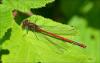 140169 – Photo : Andgelo Mombert – France (39)