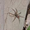 140143 – Photo : D. Martinez – Philippines
