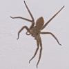 140239 – Photo : D. Martinez – Philippines
