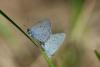 140994 – Photo : Samuel DUCEPT – France (86)