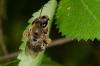 140637 – Photo : Fabricius – France (13)
