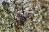 140124 – Photo : Nicolas Alric – France (12)