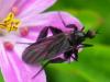 140539 – Photo : Guénael Hallart – France (02)