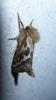 140040 – Photo : Maxime Zucca – France (75)