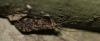 140430 – Photo : Lunox – Suisse