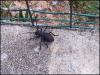 140555 – Photo : Dumè LECA – France (20)