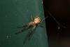 140938 – Photo : Vincent MATHEZ – France (74)