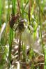 140842 – Photo : Mathilde Poussin – France (15)