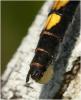 140988 – Photo : Benoit Guillon – France (86)