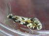 140783 – Photo : Guénael Hallart – France (02)