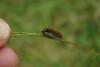 140851 – Photo : Anonyme – France (86)