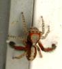 140752 – Photo : Occi34 – France (34)