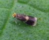 140002 – Photo : Guénael Hallart – France (02)