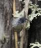 141009 – Photo : Corinne Petitcolin – France (25)