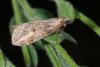 141361 – Photo : Samuel DUCEPT – France (17)