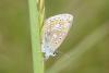 141095 – Photo : Michel Mathieu – France (14)