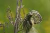 141143 – Photo : brigitte ghilain – Belgique
