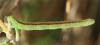 141548 – Photo : Yoann Pelouard – France (07)