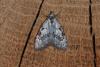 141048 – Photo : Michel Ehrhardt – France (68)