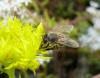 141401 – Photo : Jean-Pierre Viallard – France (28)