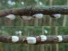 141213 – Photo : Bobabar – France (75)