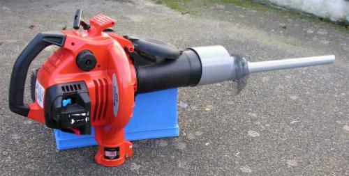 Aspirateur sp.
