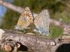 142548 – Photo : Petit Vincent – Croatie