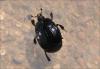 142033 – Photo : Andgelo Mombert – France (39)