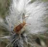 142029 – Photo : Maria Justamond – France (39)