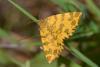 142141 – Photo : Christophe Quintin – France (71)