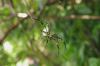 143873 – Photo : Michel Renou – Vietnam