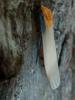143200 – Photo : Bobabar – France (75)
