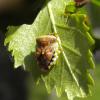 143660 – Photo : Maria Justamond – France (62)