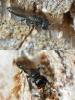 144284 – Photo : Christophe Quintin – France (21)