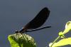 144658 – Photo : Nicolas Alric – France (12)