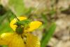 144782 – Photo : Nicolas Alric – France (12)