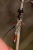 144213 – Photo : Jean-Laurent HENTZ – France (11)
