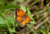145562 – Photo : Pierre Duhem – France (95)