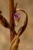145980 – Photo : Maxime Zucca – France (77)
